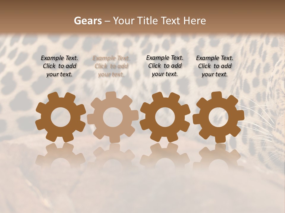 Cat Wildlife Safari PowerPoint Template