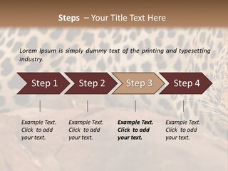 Cat Wildlife Safari PowerPoint Template