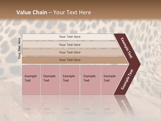 Cat Wildlife Safari PowerPoint Template