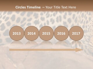 Cat Wildlife Safari PowerPoint Template