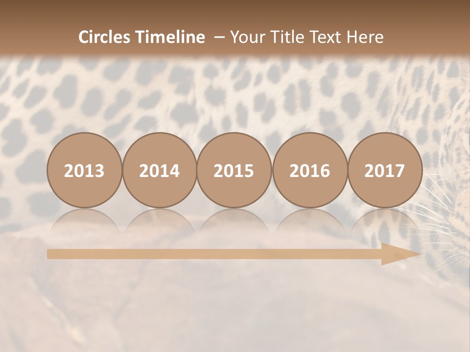 Cat Wildlife Safari PowerPoint Template
