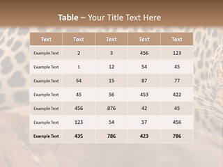 Cat Wildlife Safari PowerPoint Template