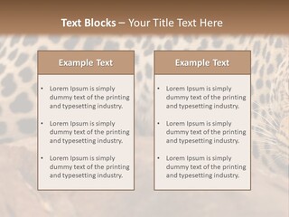 Cat Wildlife Safari PowerPoint Template