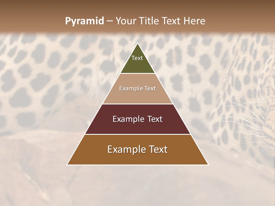 Cat Wildlife Safari PowerPoint Template