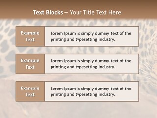 Cat Wildlife Safari PowerPoint Template