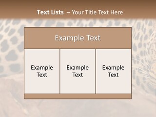Cat Wildlife Safari PowerPoint Template