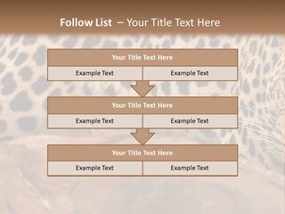 Cat Wildlife Safari PowerPoint Template