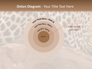 Cat Wildlife Safari PowerPoint Template