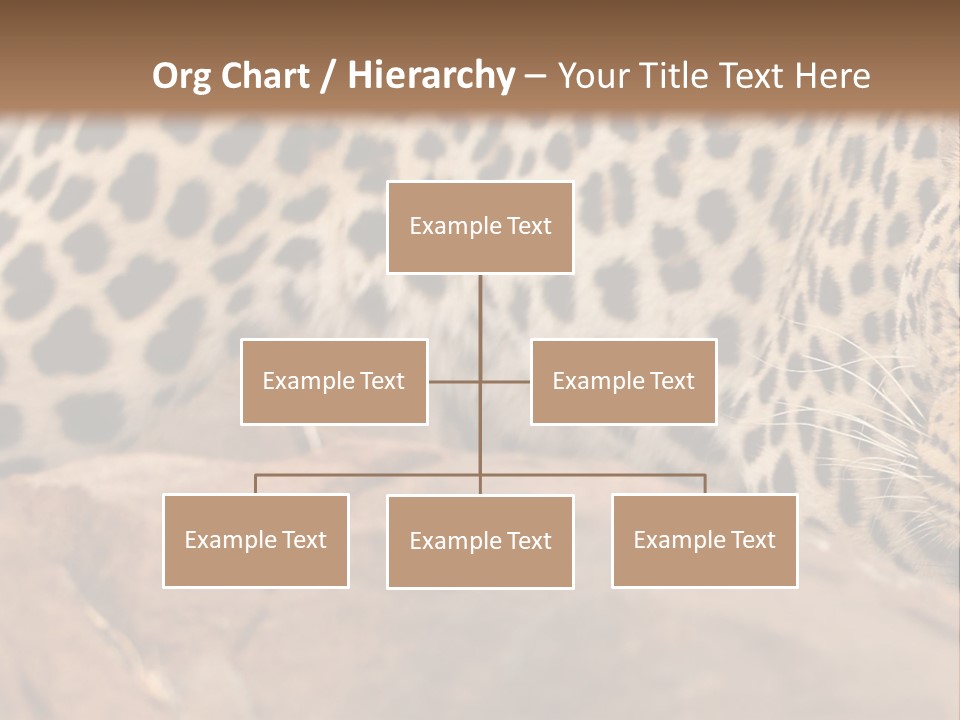 Cat Wildlife Safari PowerPoint Template