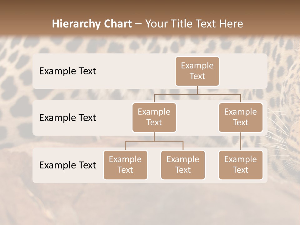 Cat Wildlife Safari PowerPoint Template