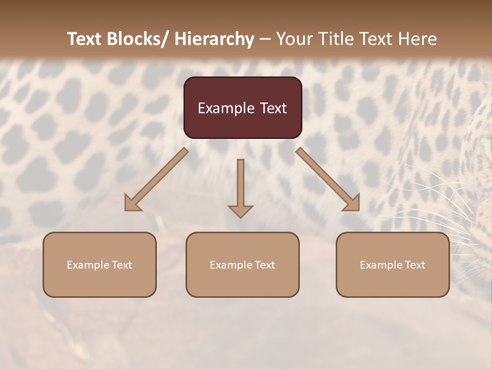 Cat Wildlife Safari PowerPoint Template