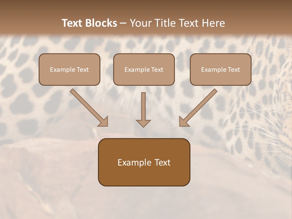 Cat Wildlife Safari PowerPoint Template