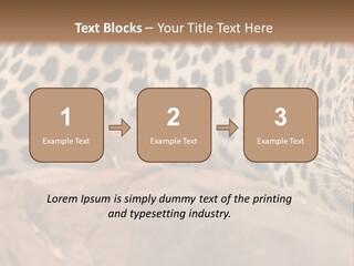 Cat Wildlife Safari PowerPoint Template