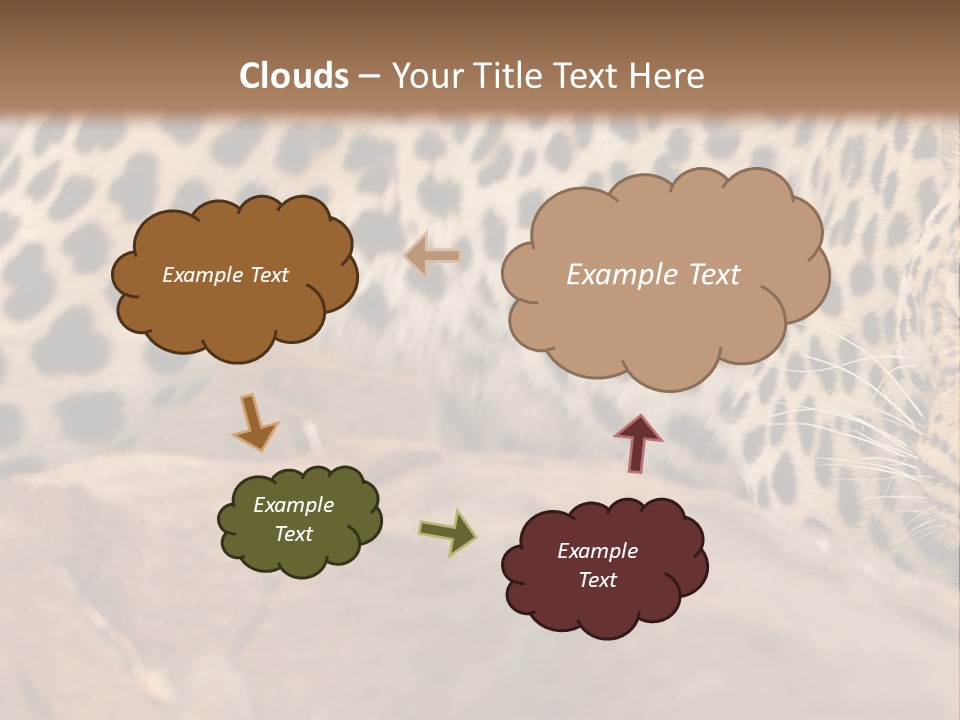 Cat Wildlife Safari PowerPoint Template