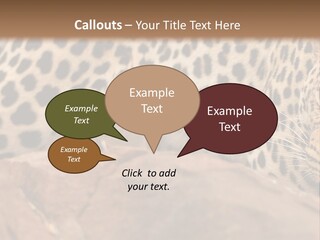 Cat Wildlife Safari PowerPoint Template