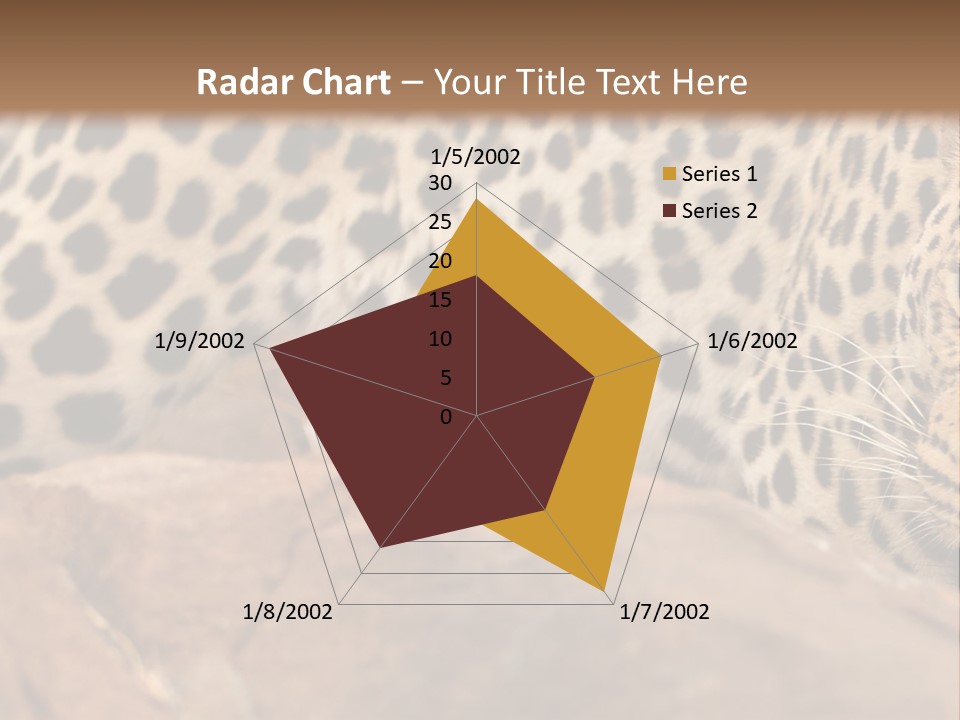 Cat Wildlife Safari PowerPoint Template