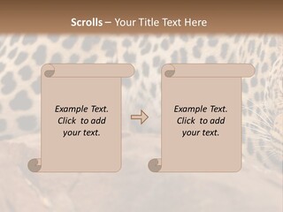 Cat Wildlife Safari PowerPoint Template
