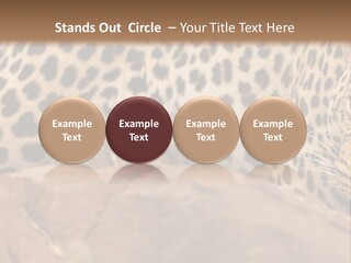 Cat Wildlife Safari PowerPoint Template