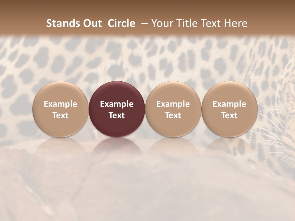 Cat Wildlife Safari PowerPoint Template