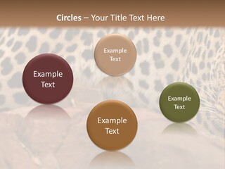 Cat Wildlife Safari PowerPoint Template