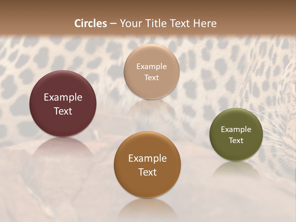 Cat Wildlife Safari PowerPoint Template