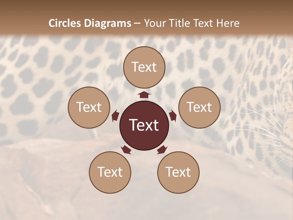 Cat Wildlife Safari PowerPoint Template