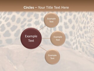 Cat Wildlife Safari PowerPoint Template