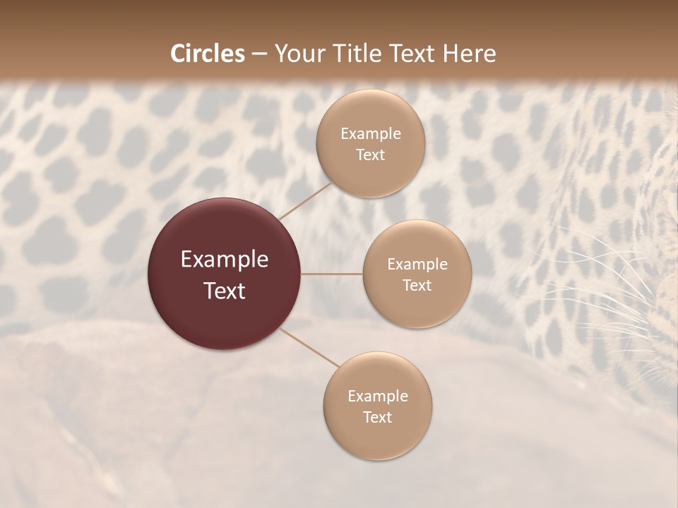 Cat Wildlife Safari PowerPoint Template