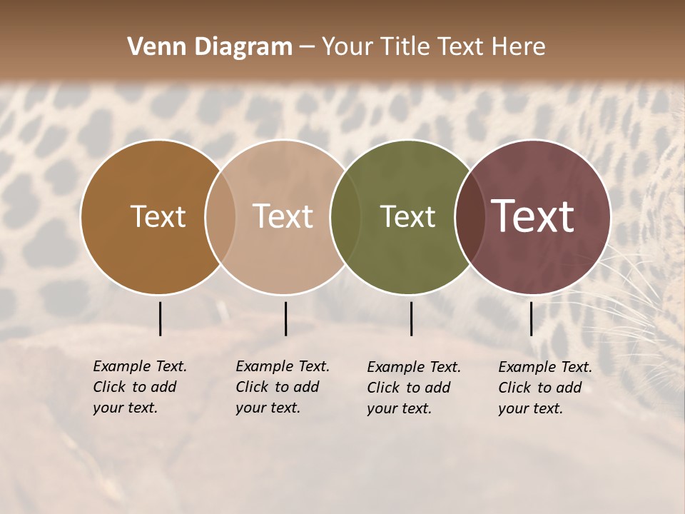 Cat Wildlife Safari PowerPoint Template