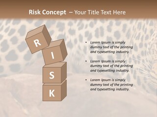 Cat Wildlife Safari PowerPoint Template