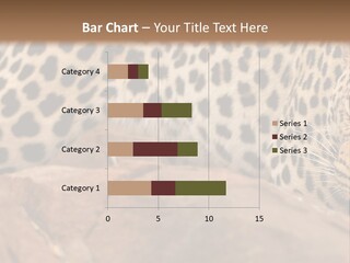 Cat Wildlife Safari PowerPoint Template