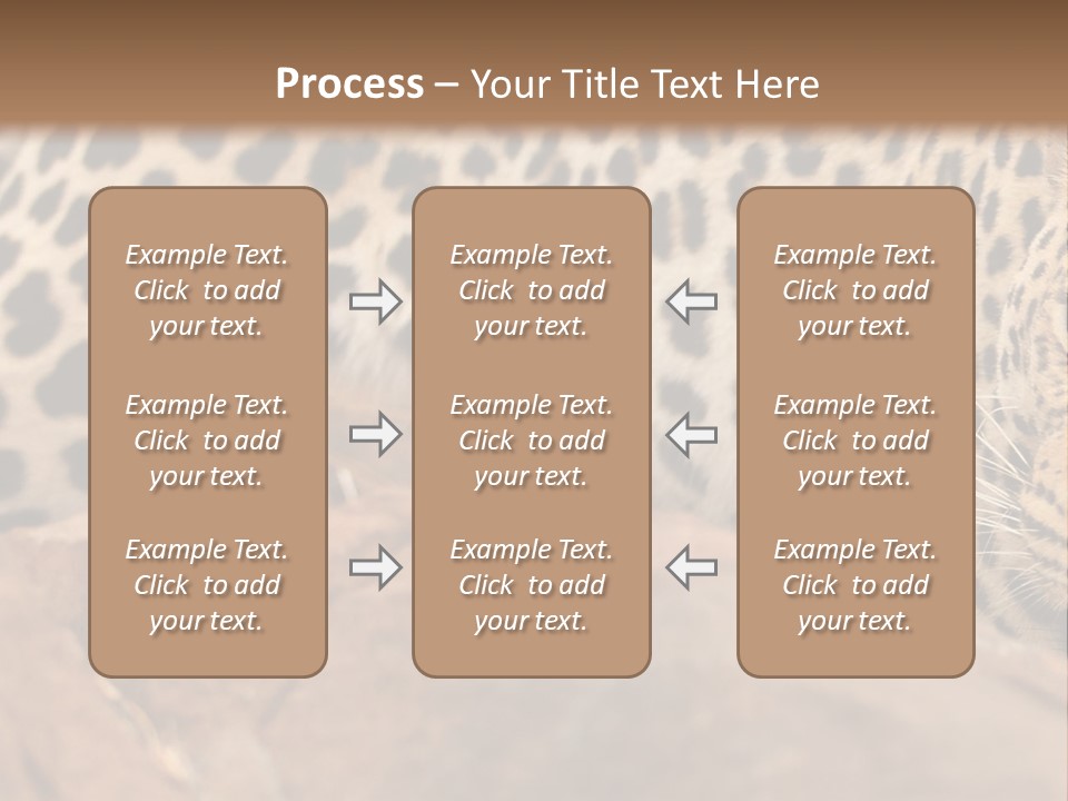 Cat Wildlife Safari PowerPoint Template