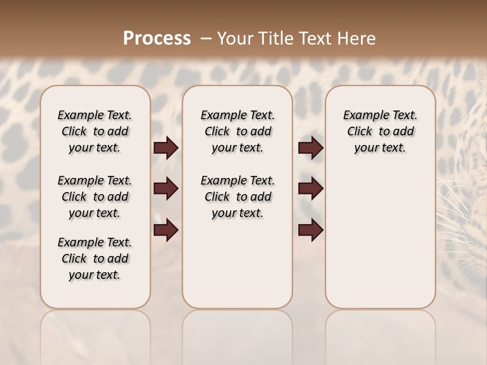 Cat Wildlife Safari PowerPoint Template