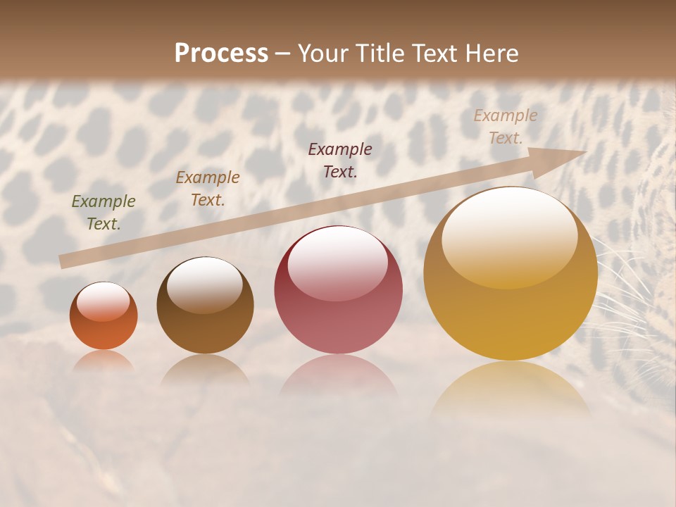 Cat Wildlife Safari PowerPoint Template