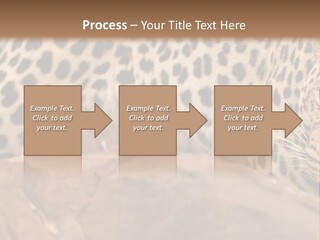 Cat Wildlife Safari PowerPoint Template