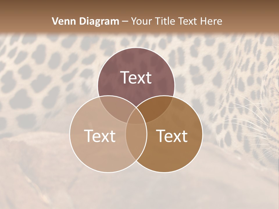 Cat Wildlife Safari PowerPoint Template