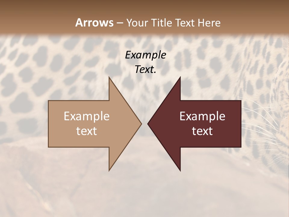 Cat Wildlife Safari PowerPoint Template