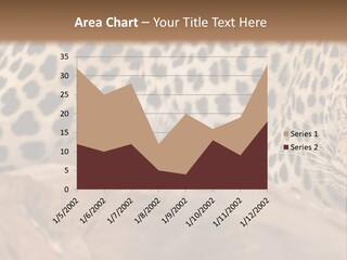 Cat Wildlife Safari PowerPoint Template