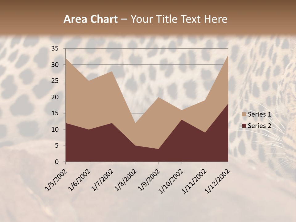 Cat Wildlife Safari PowerPoint Template