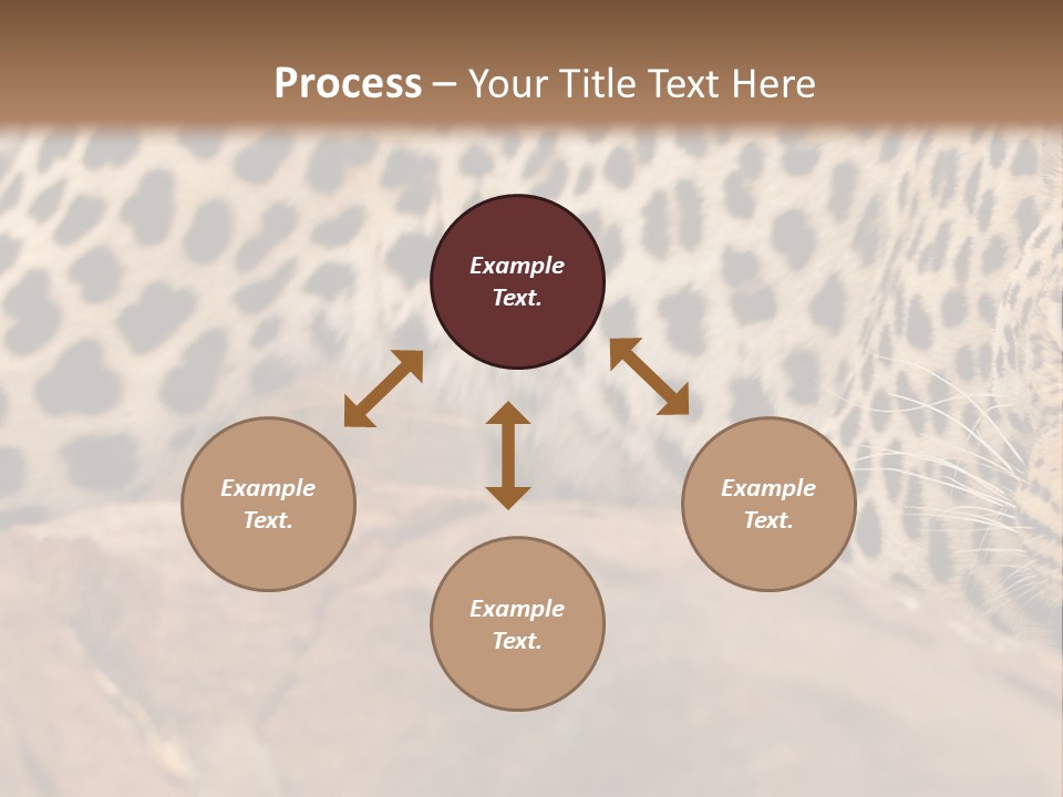 Cat Wildlife Safari PowerPoint Template