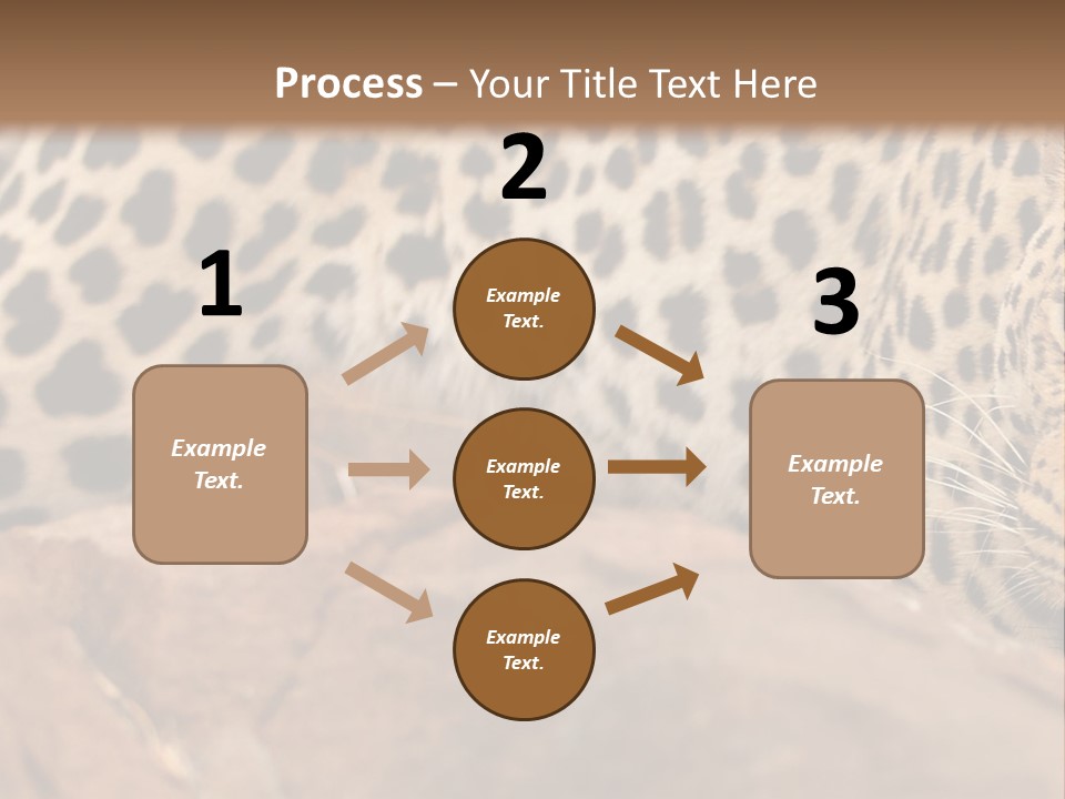 Cat Wildlife Safari PowerPoint Template