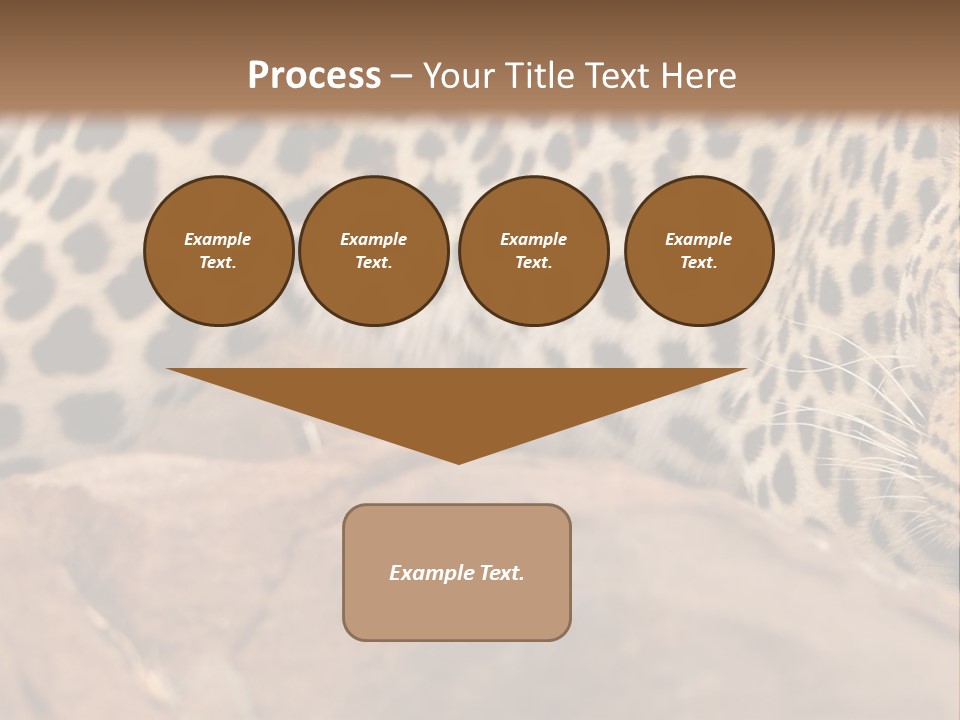 Cat Wildlife Safari PowerPoint Template