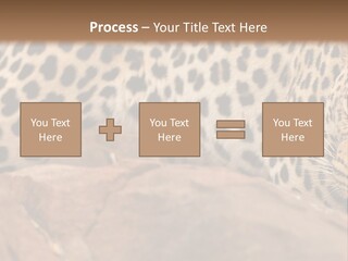 Cat Wildlife Safari PowerPoint Template