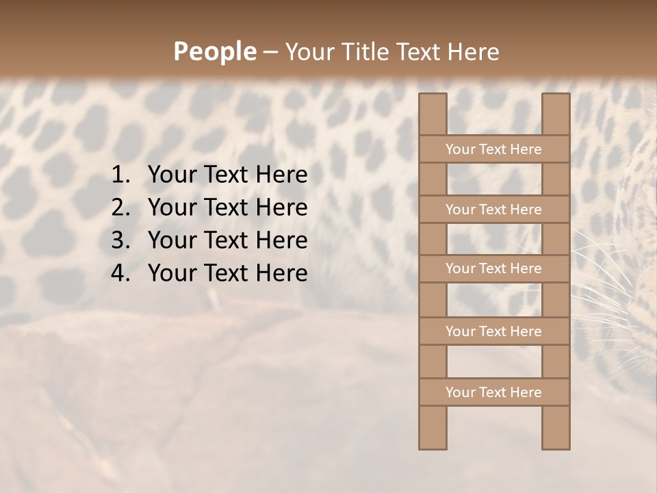 Cat Wildlife Safari PowerPoint Template