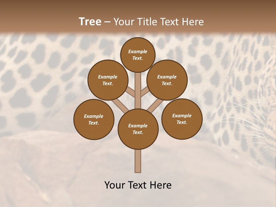 Cat Wildlife Safari PowerPoint Template