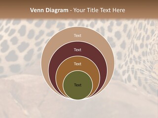 Cat Wildlife Safari PowerPoint Template