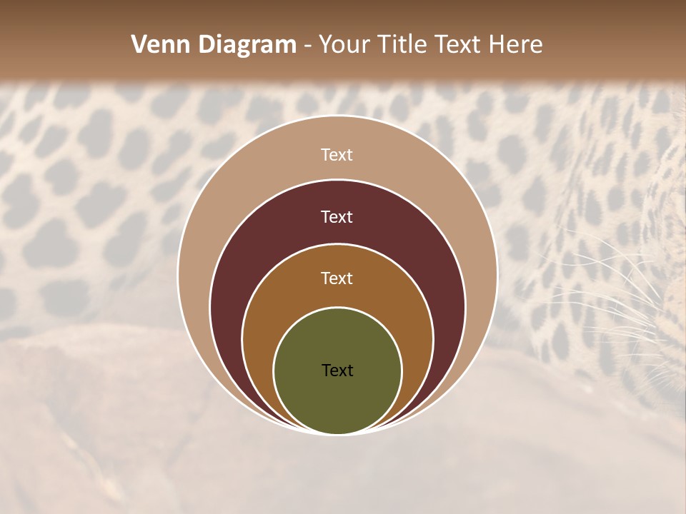 Cat Wildlife Safari PowerPoint Template