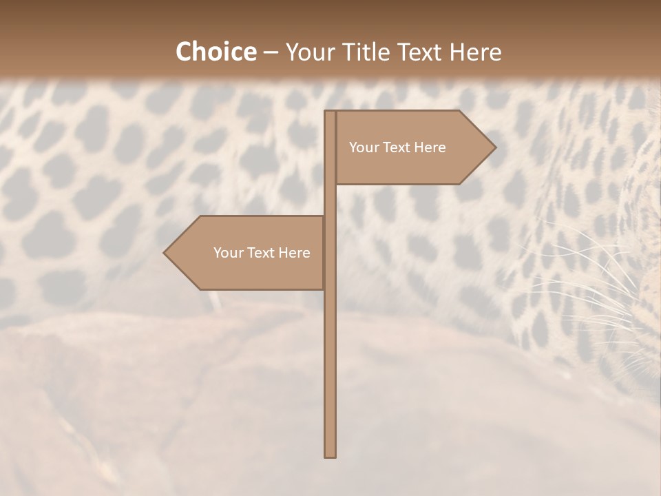 Cat Wildlife Safari PowerPoint Template