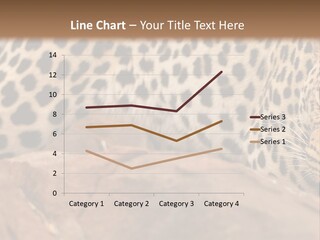Cat Wildlife Safari PowerPoint Template