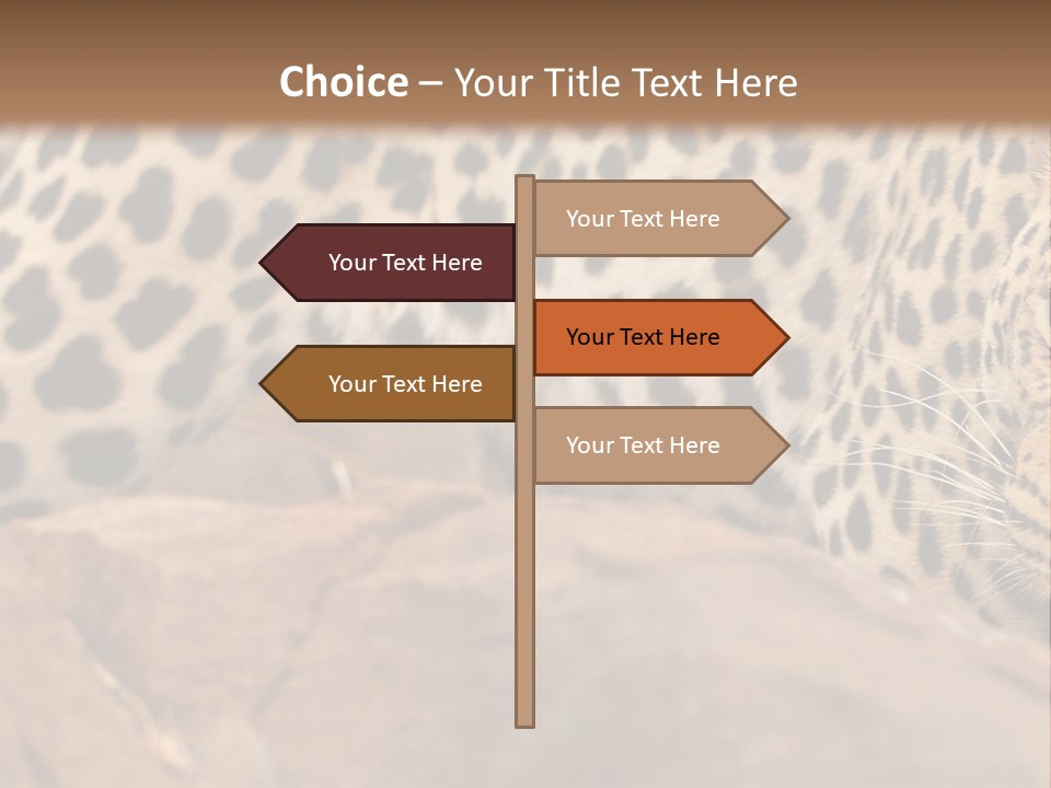 Cat Wildlife Safari PowerPoint Template